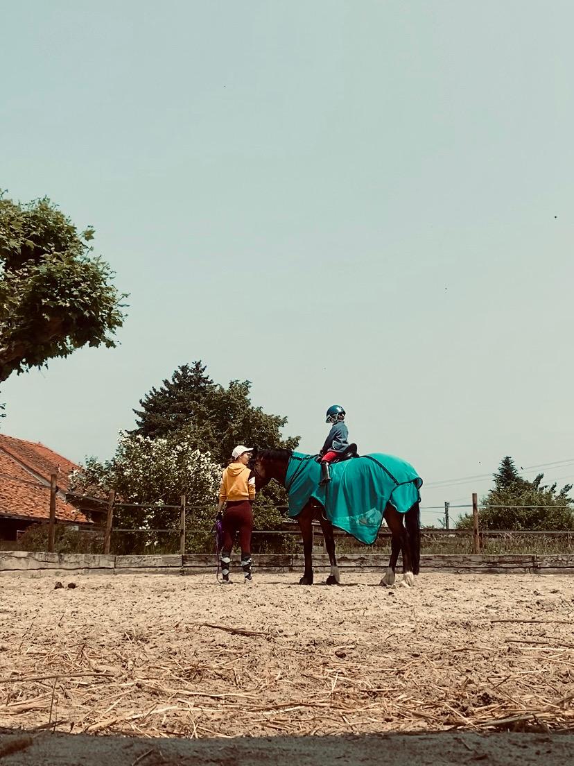 Cheval portant un enfant en séance, guidé par l’adulte