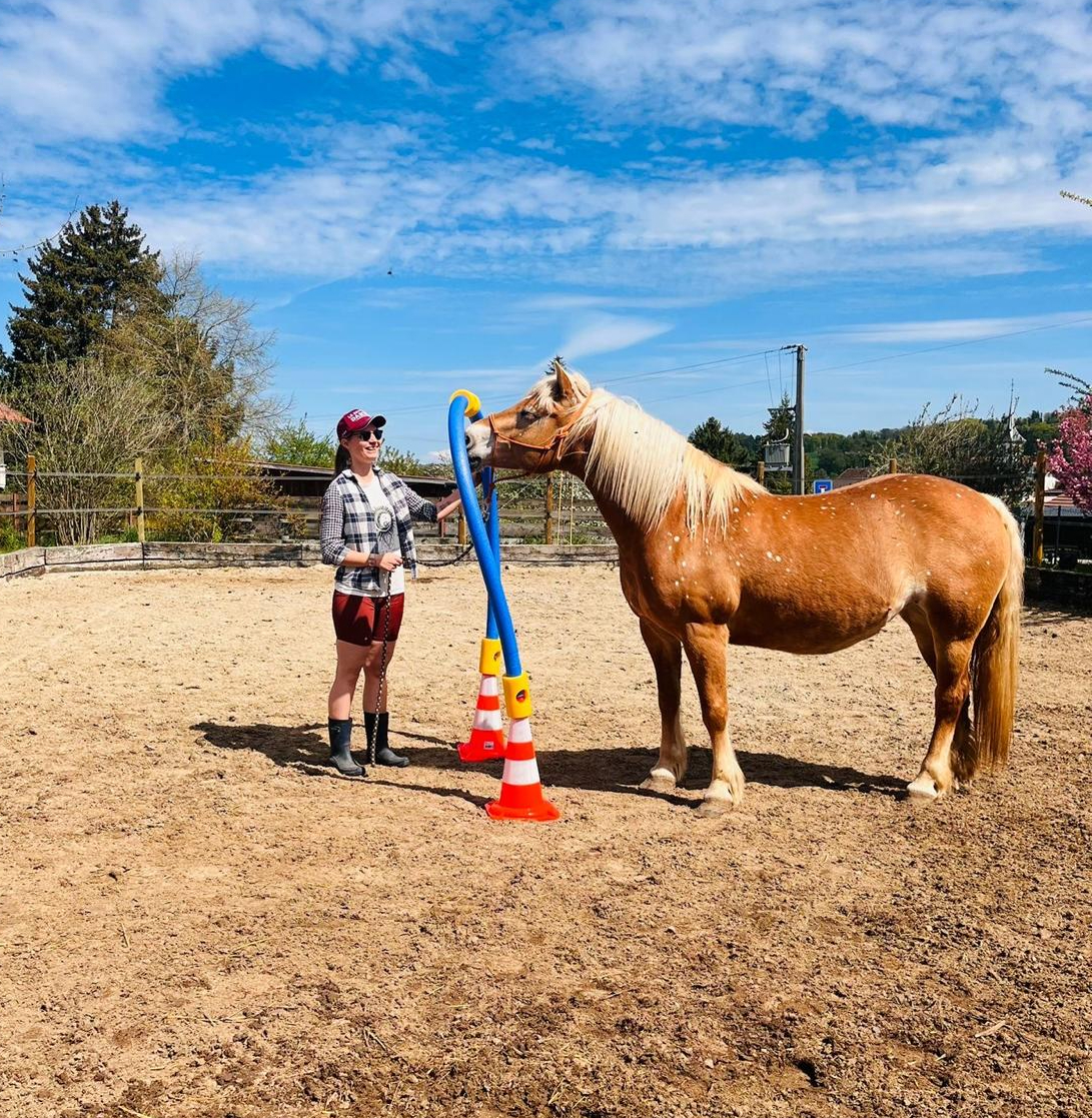 Enfant caressant un cheval en séance