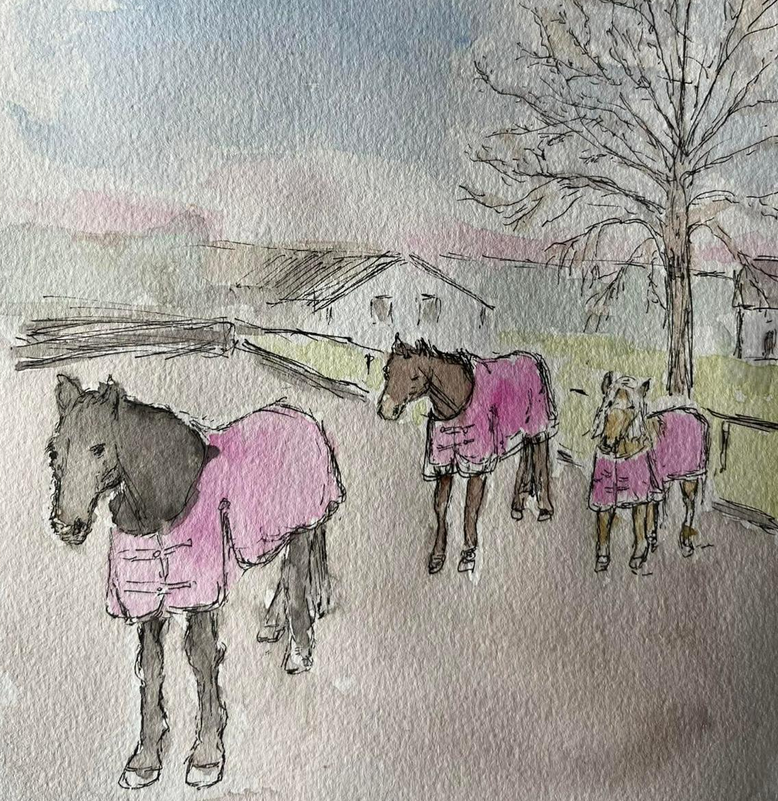 Aquarelle des trois chevaux de l'écurie