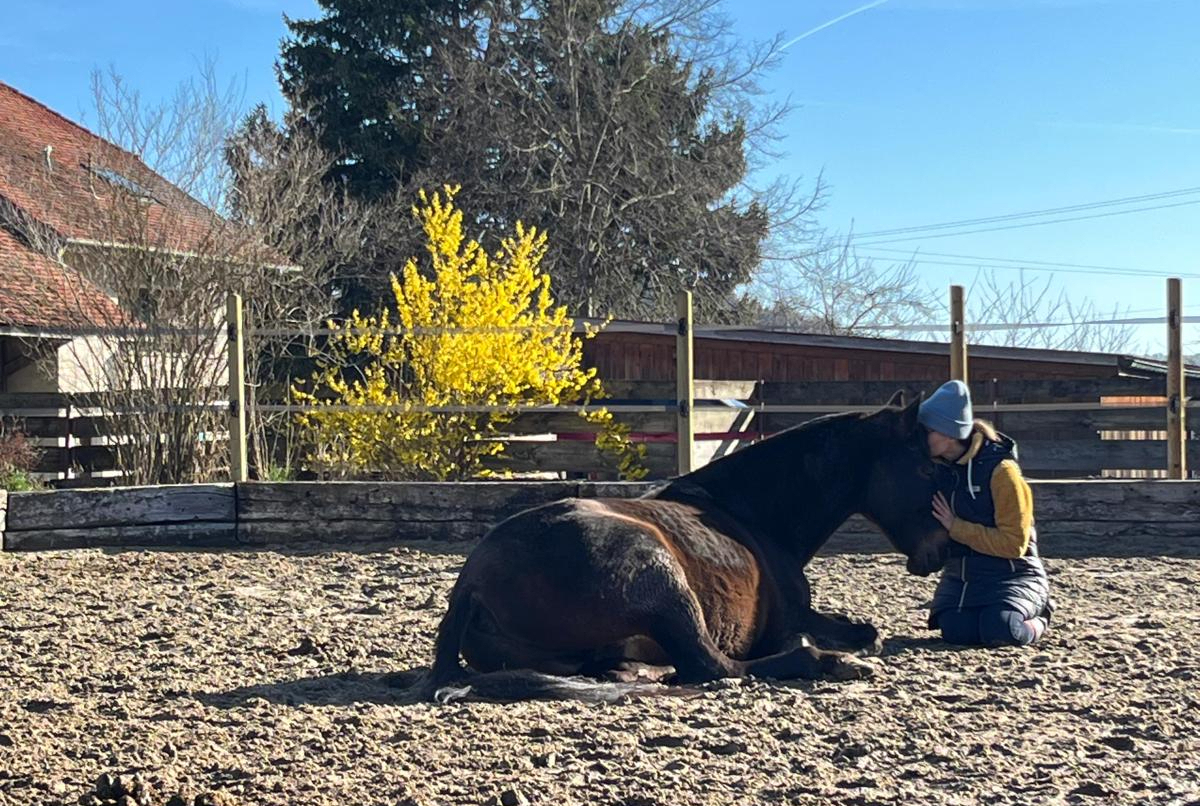 Cheval passant sous une arche