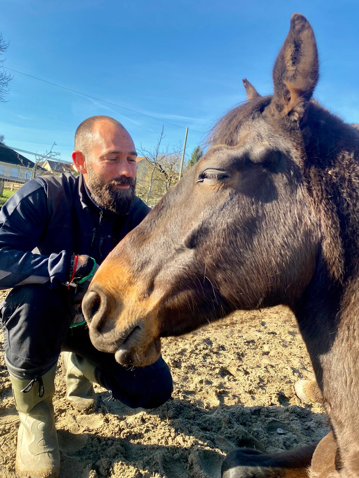 Yann Meutémédian, meneur en hippothérapie